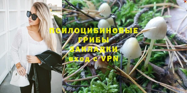 гидра Алексеевка