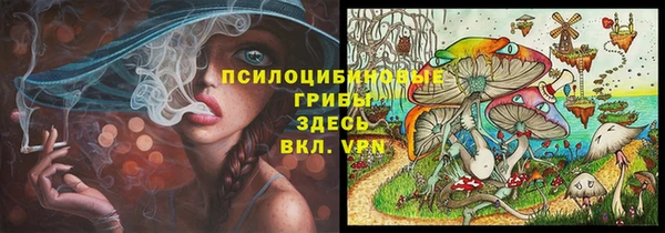 гидра Алексеевка
