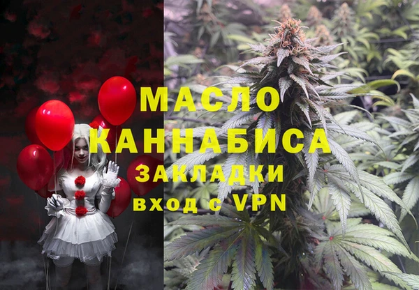 СК Алексин