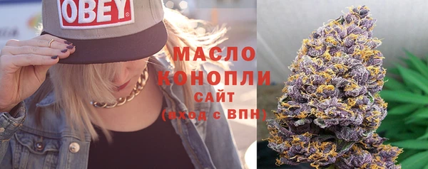 СК Алексин