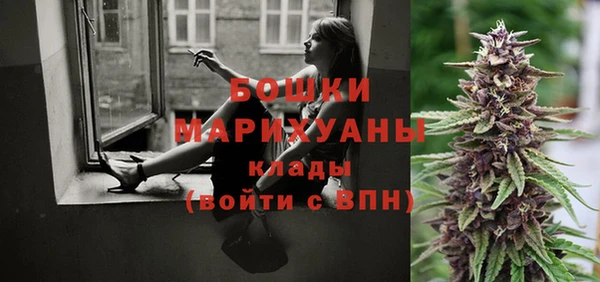гидра Алексеевка